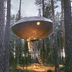 What Keeps Mosquitoes Away? 12 Ways to Safeguard Your Home and Yard