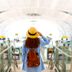 7 Secrets to Avoid Flying on a Crowded Plane