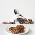 The Very Best Diet for Dogs, According to Vets
