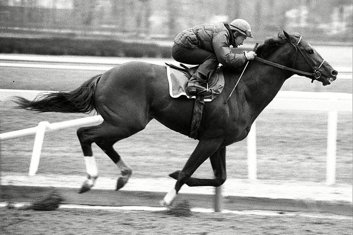 SECRETARIAT JOCKEY TURCOTTE, ELMONT, USA