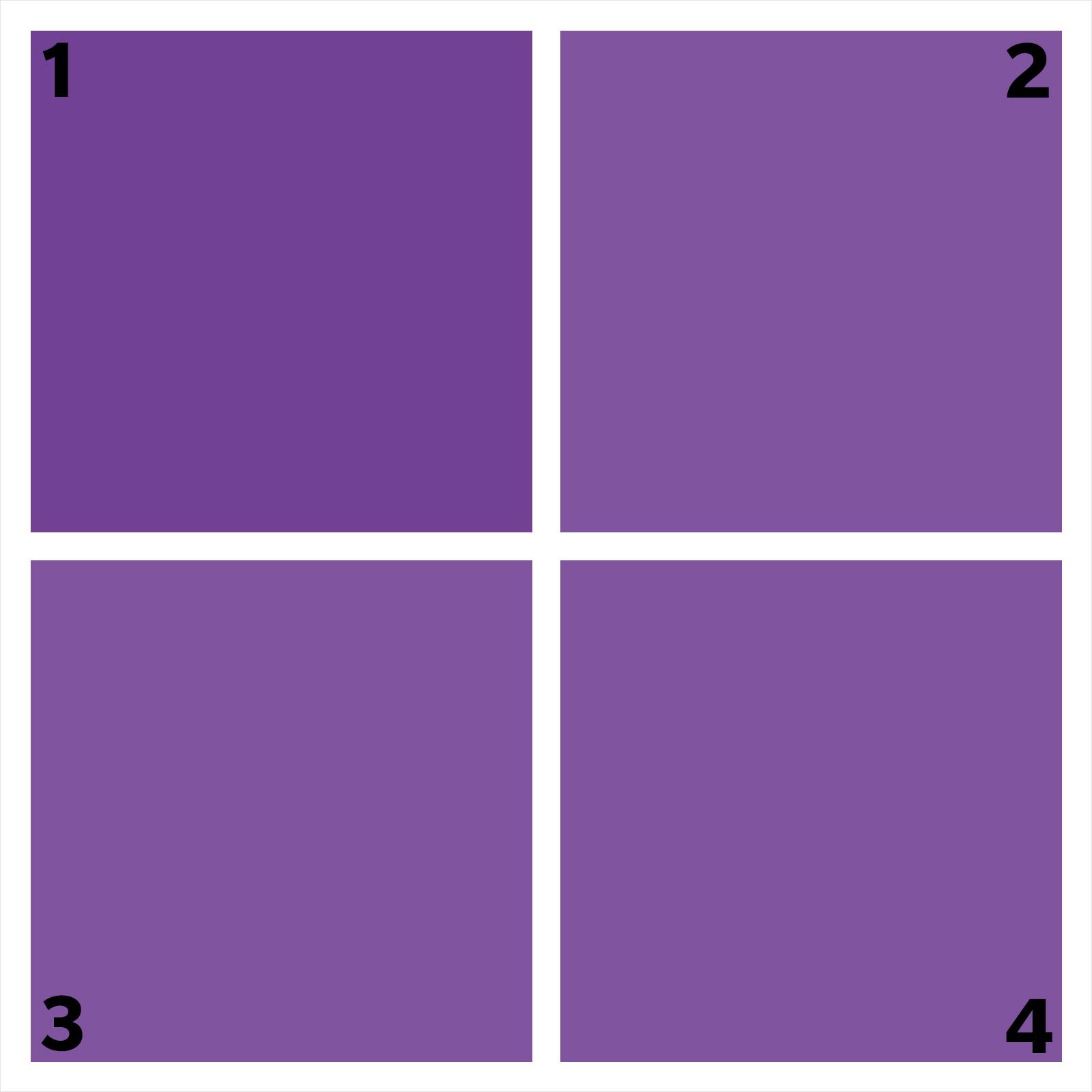 four purple squares. one is different.