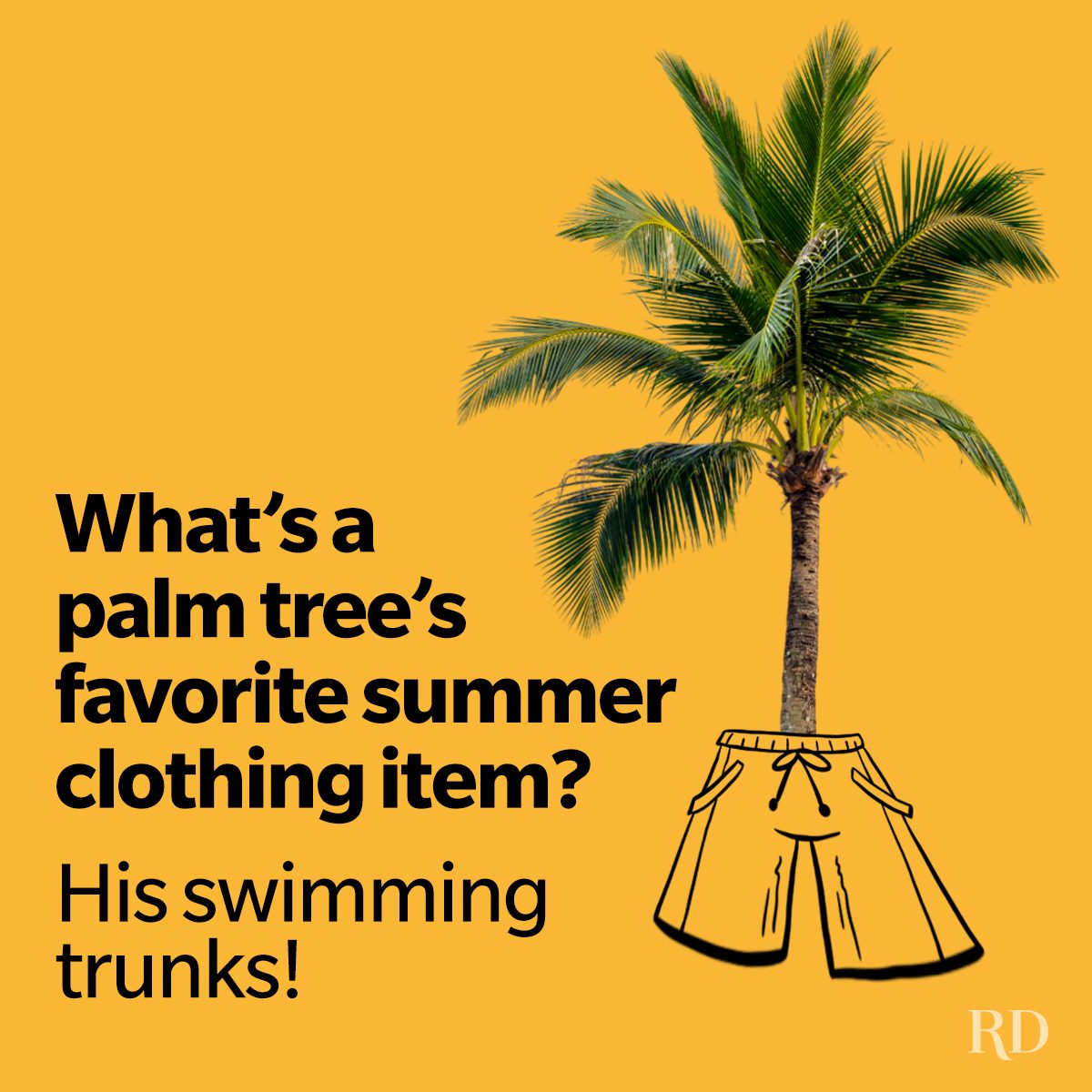 85 Summer Jokes That’ll Turn Up the Heat—And Hilarity