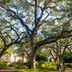 The Best Time to Visit Savannah, Georgia, for Great Weather and an Unforgettable Trip