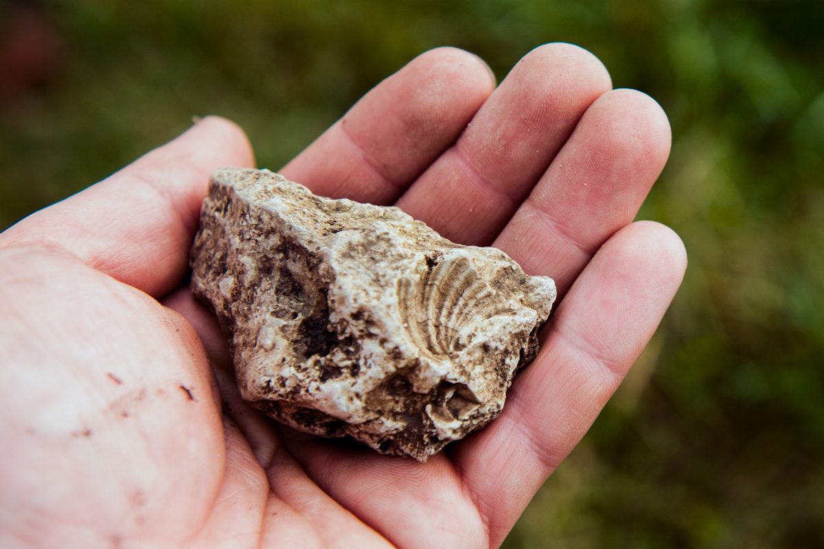 15 of the Oldest Artifacts Ever Discovered