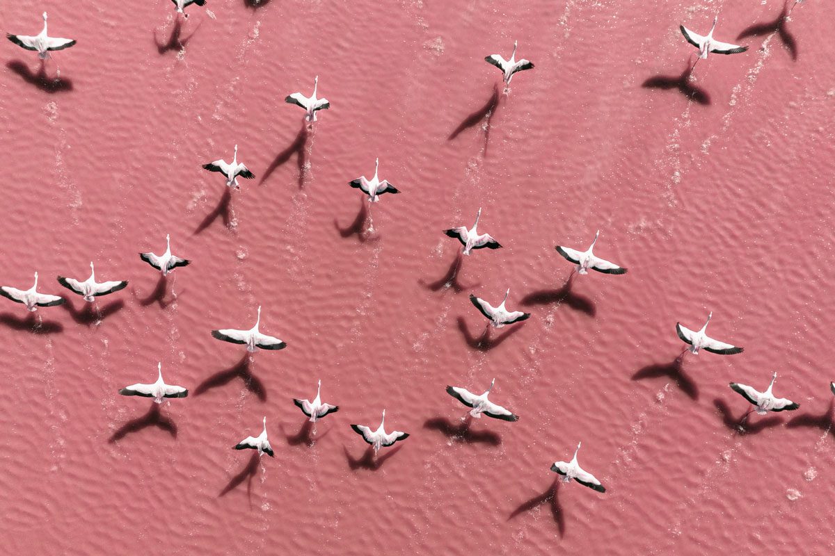 6 Naturally Beautiful Pink Lakes from Around the World