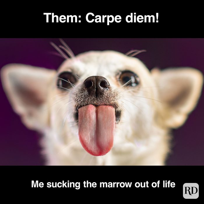 Have A Great Day Memes