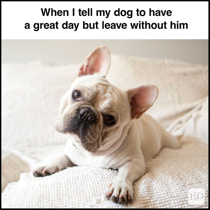 Have A Great Day Memes