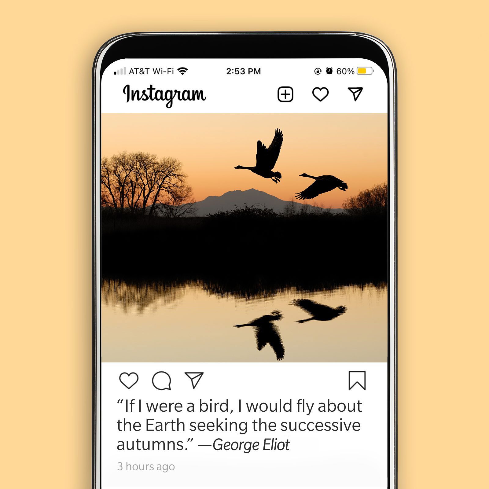 Fallinsta8