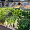 Grocery Stores Spray Produce With Water