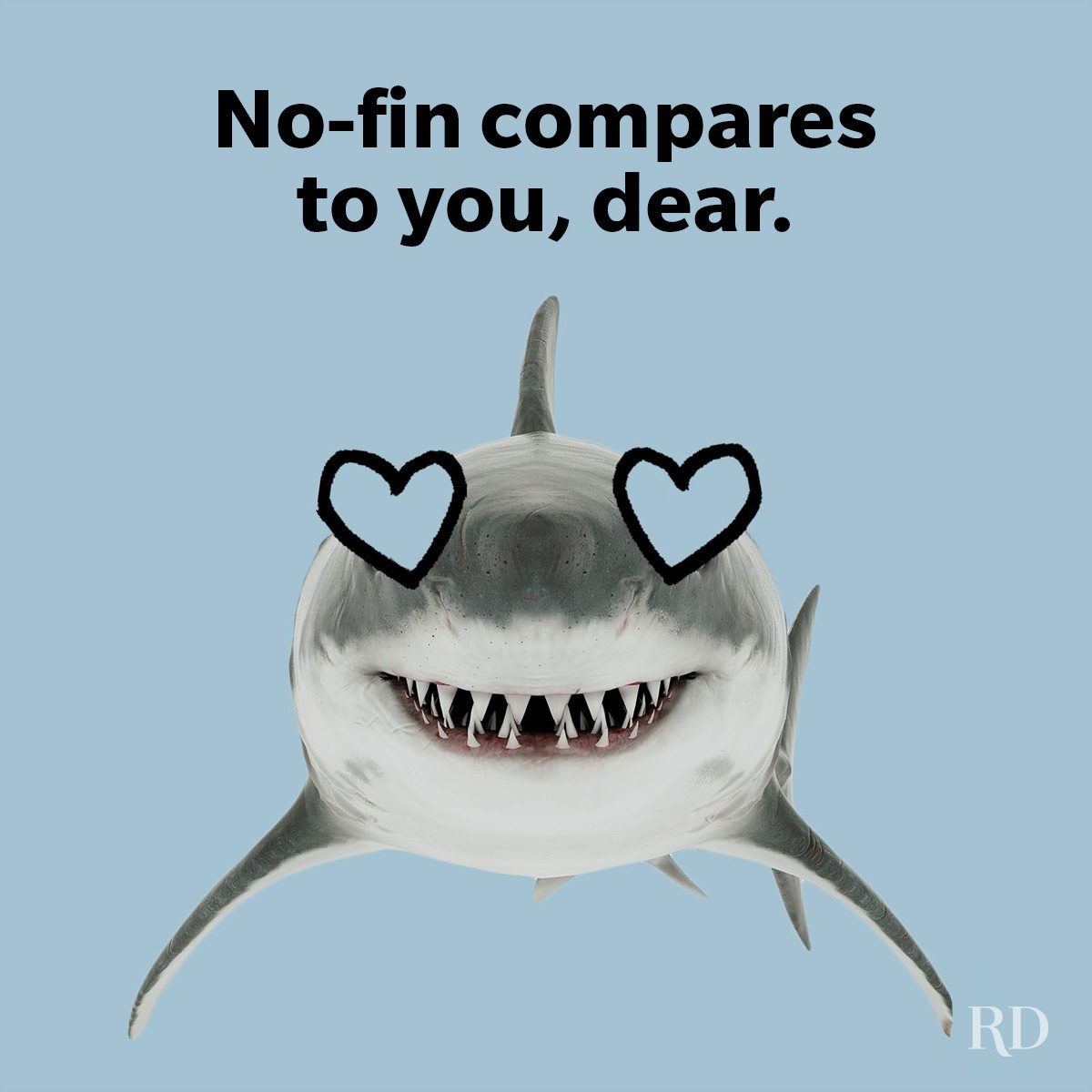 Shark Puns And Jokes